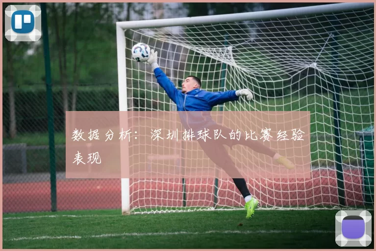 数据分析：深圳排球队的比赛经验表现