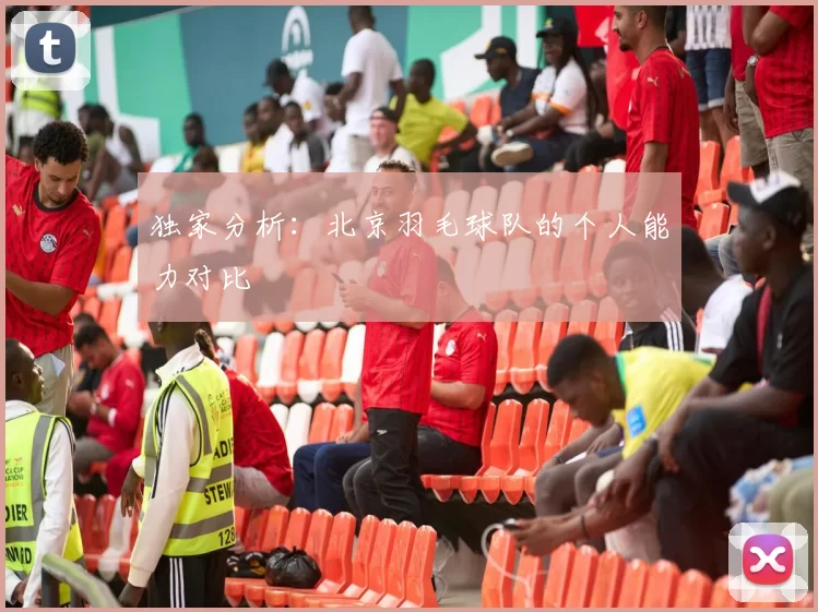 独家分析：北京羽毛球队的个人能力对比