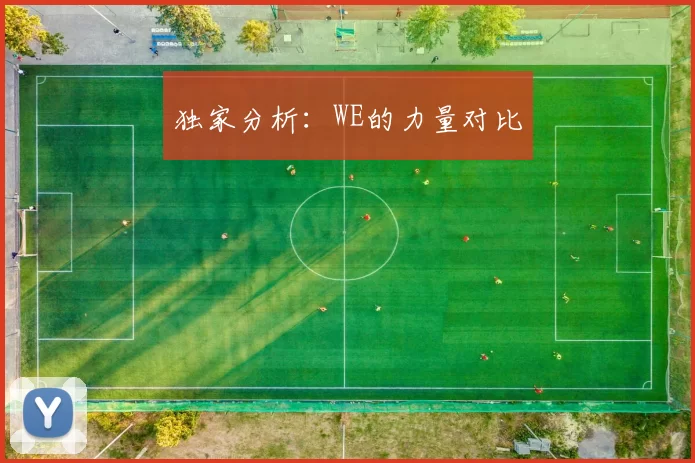 独家分析：WE的力量对比