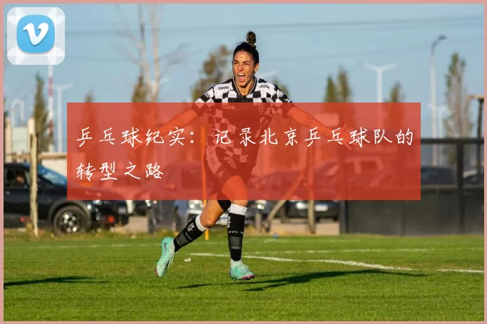 乒乓球纪实：记录北京乒乓球队的转型之路