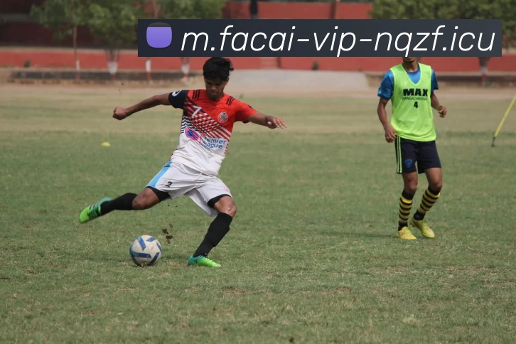 米兰体育平台生态图